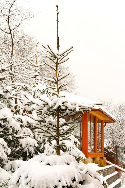 Janda Resort & Conference Мшана-Дольна Екстер'єр фото